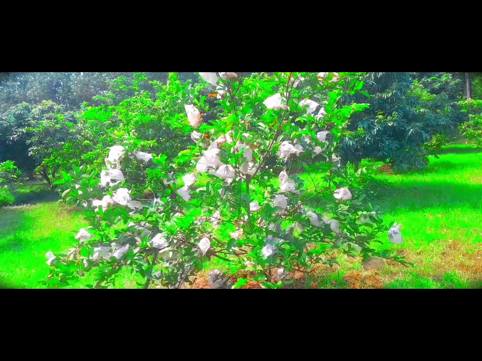 🥹 क्या खूब ❤️‍🩹 लिखा है..!🥀