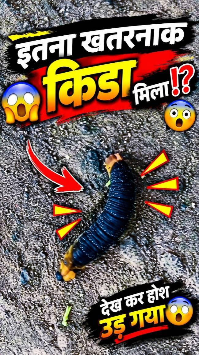 Itna khatarnak kida 😱😱