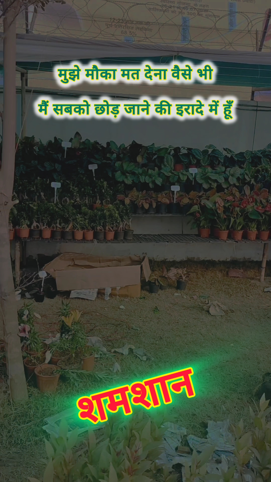 #sadshayari