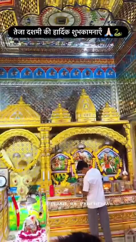 Teja ji 😍❤️ jai veer teja ji Maharaj 🙌🙏