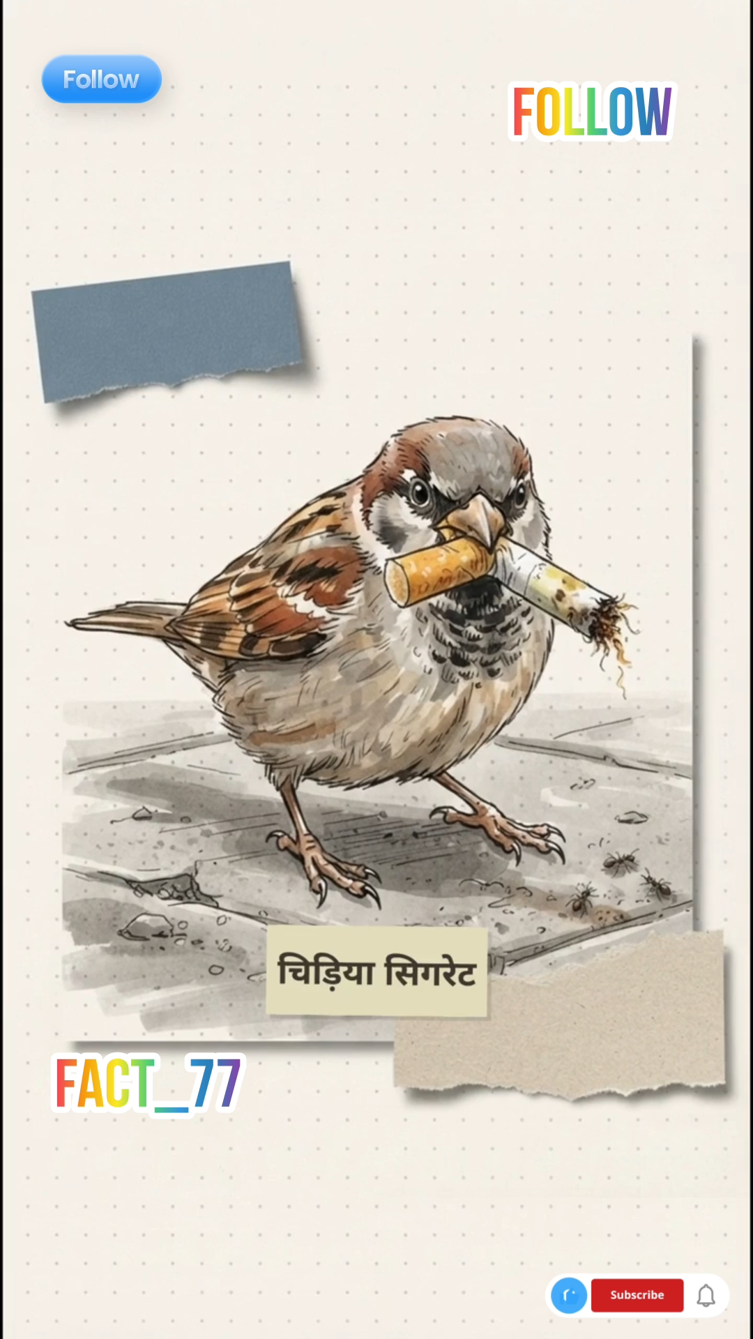 चिड़िया सिगरेट क्यों चुराती है? वजह जानकर हैरान रह जाओगे! 🤯🐦🚬 #amazingfacts  #dailyfacts #shorts