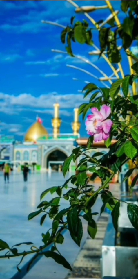 Muskura ke se gar ne karbala hila dala New Maat Sharif ❤️ Gulam Sabir Ashrafi