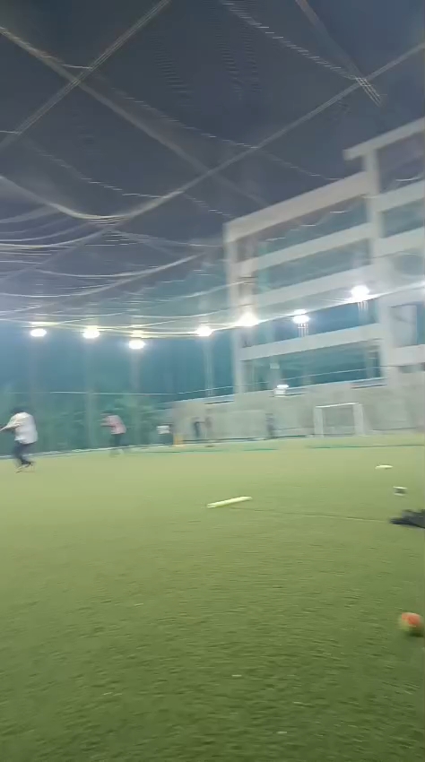 Cricket video