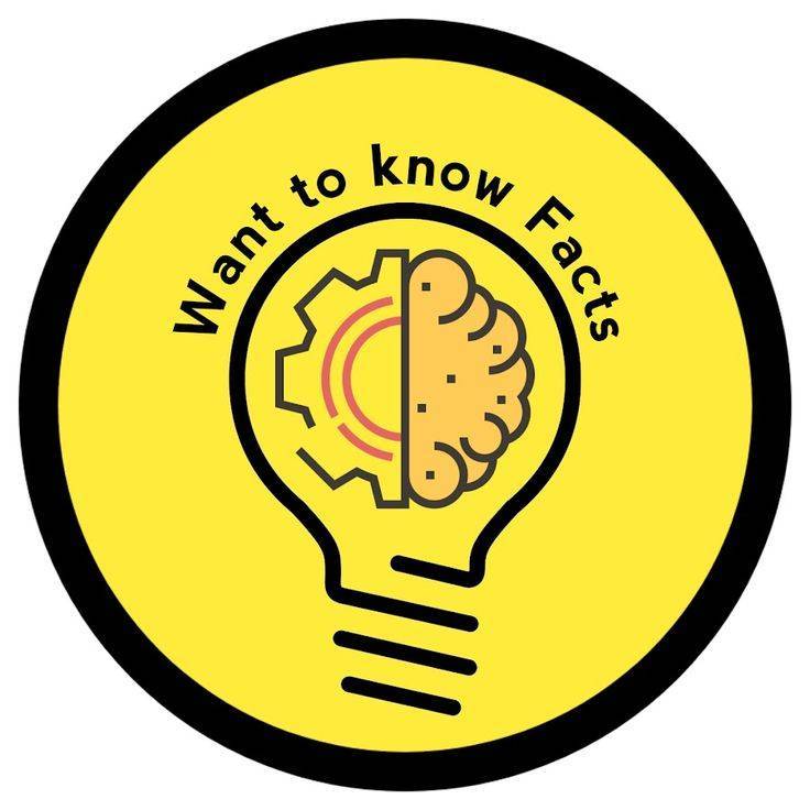Fact video on Bideo