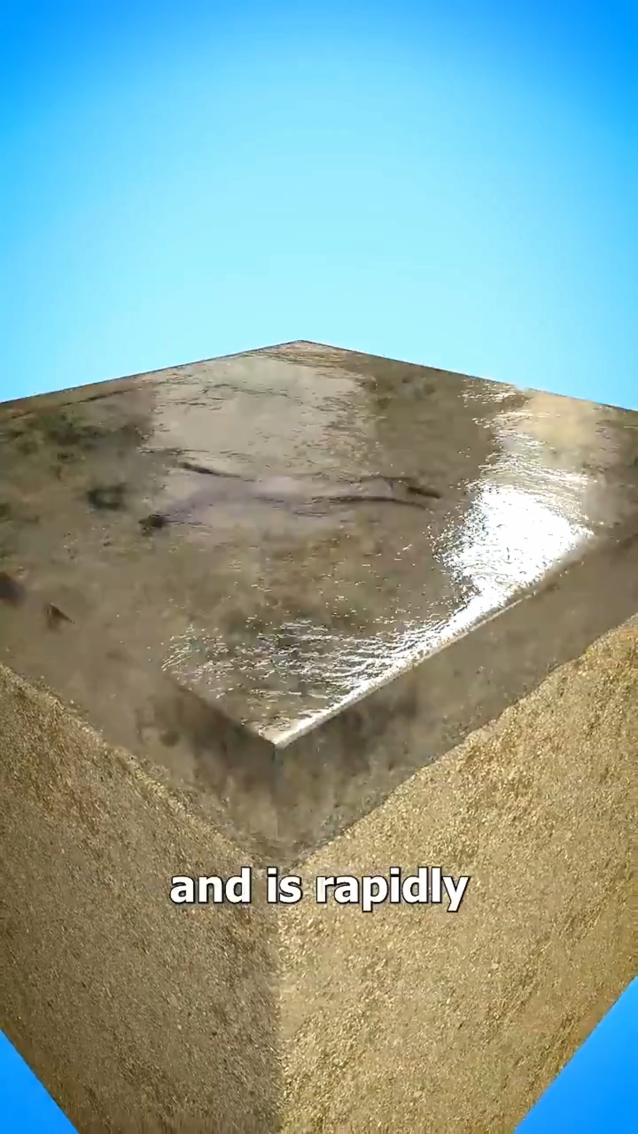 How Does an Animal Turn Into Stone? 😱 | How Fossils Are Formed #Shorts
