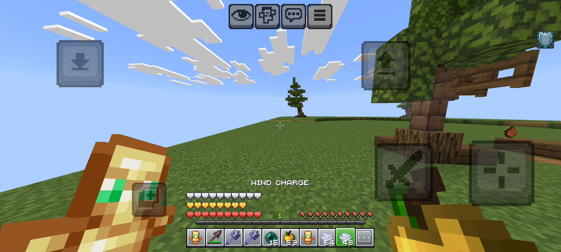I kill the impossible mob in Minecraft