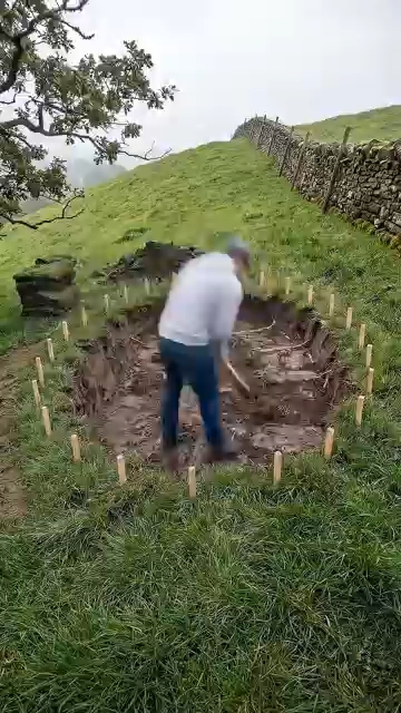 @bunker video