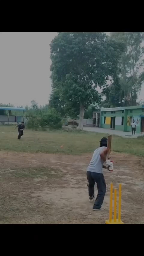 MY FAV SHOTS 💥🏏#cricketlovers #yoyohoneysingh #explorepage✨ #cricket #cricketjourney