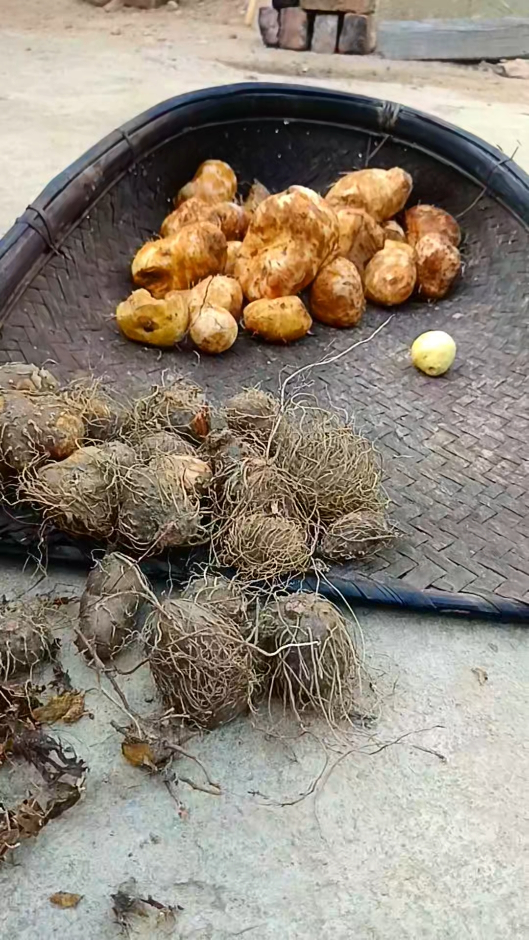 Hamare ghar ke naye mehman 😄 2