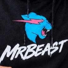 Mr_Beast_💸 on Bideo