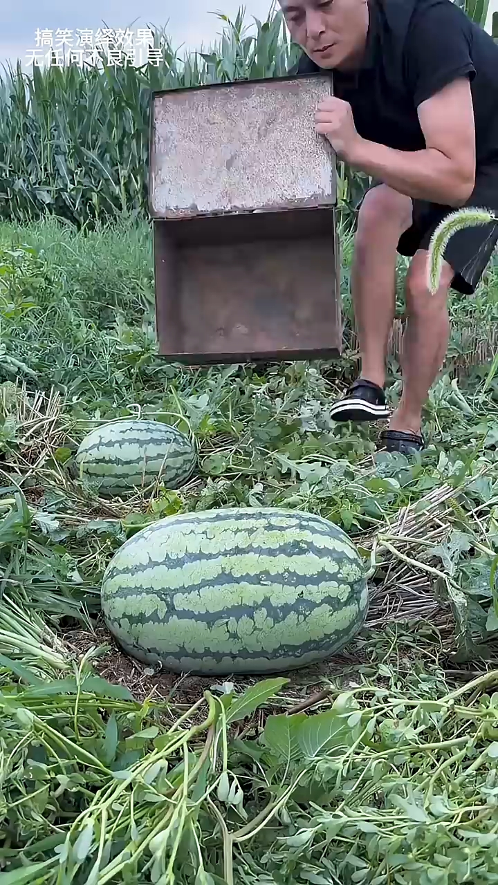 Uncle ne tarbuj ko bhara box mai