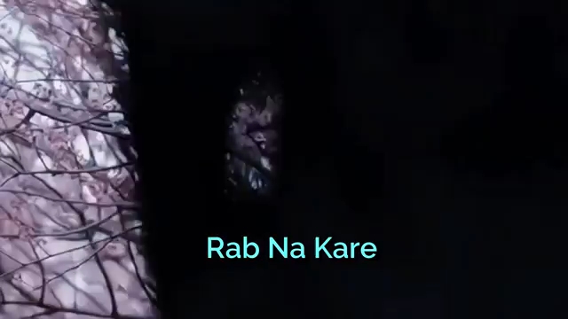 Rab _na_kare.    Sad song 😔🥺