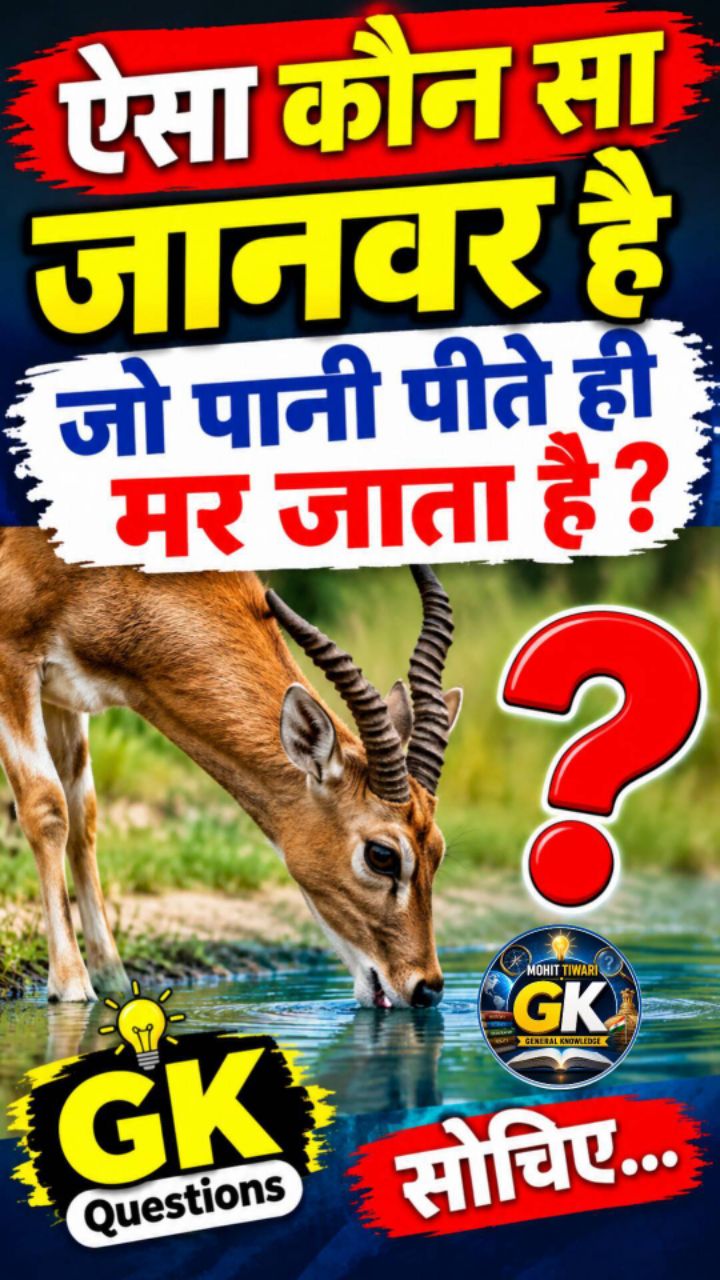कौन सा जानवर पानी नहीं पीता । General knowledge questions ❓। GK shorts। Gk in Hindi। सामान्य ज्ञान।
