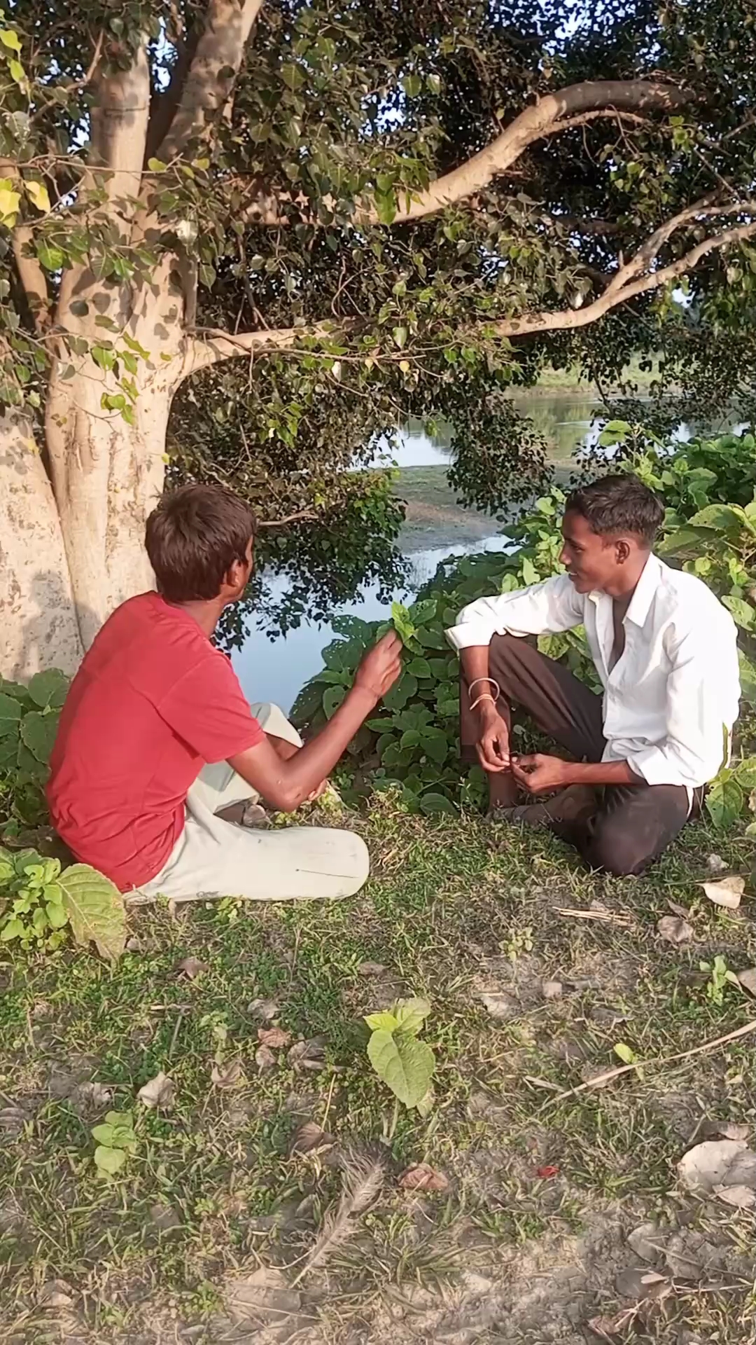 भाई कल इसके लड्डू बाटना है क्यों आ रहा है भाई भाग भाग#aryan kashyap comedy funny video
