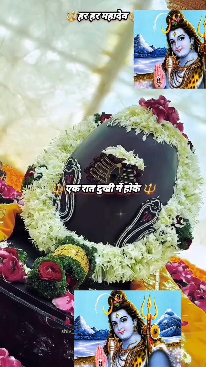 हर हर महादेव 🙏🌹