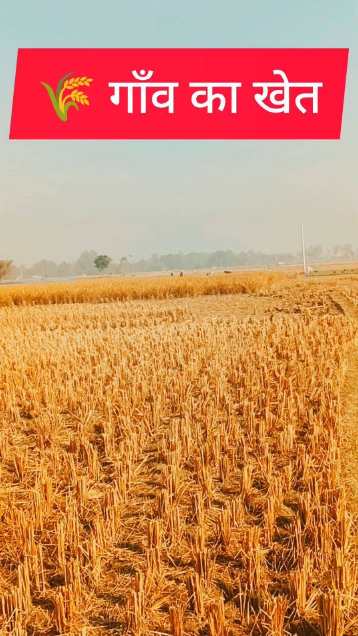 Khet ka video