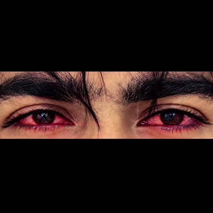 Sadam on Bideo