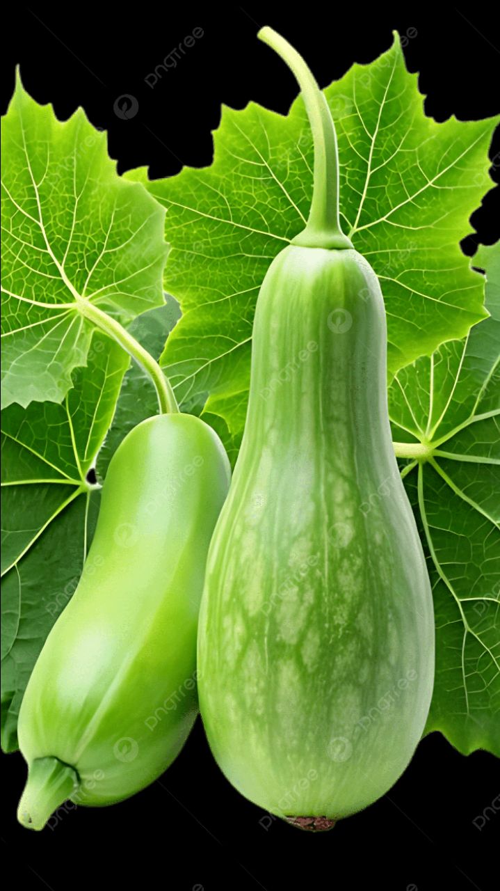 लौकी के साथ कौन सी सब्जी मिलाने से जहर बन जाता है? #gk #gkquiz