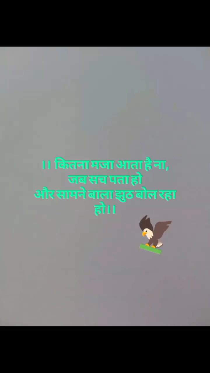 @shayaranajindgi