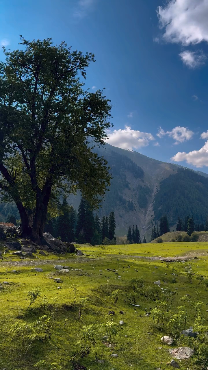 Beautiful Nature photography video