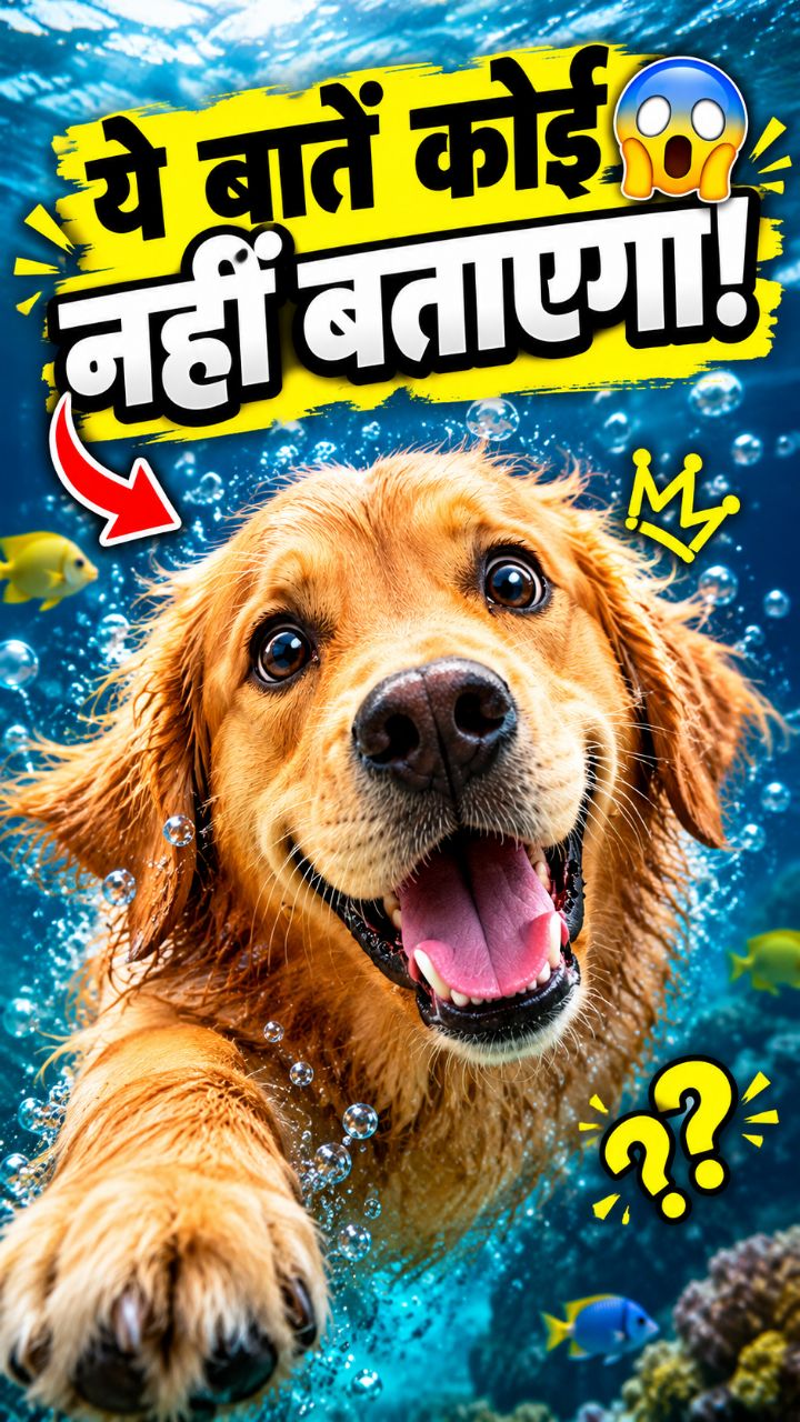 Golden Retriever Ke Secret Facts! 🐕✨ | Yeh 5 Baatein Koi Nahi Batayega! 😱