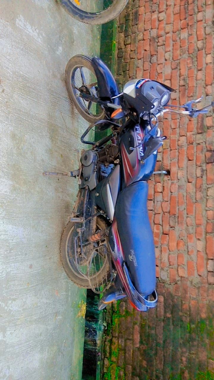 Platina bike