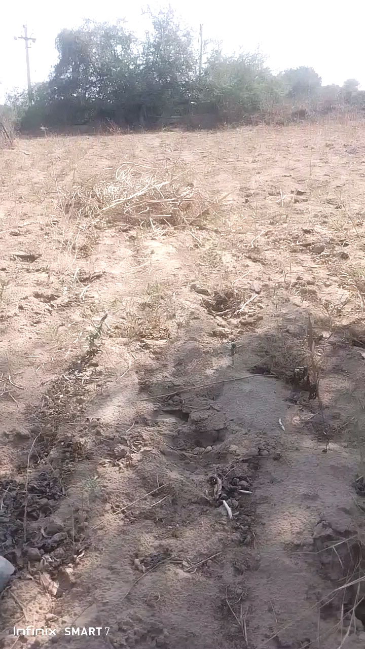 Agriculture