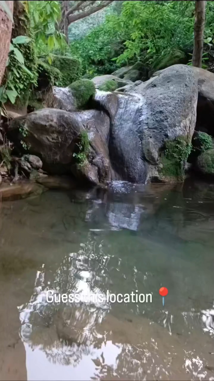 Natural vibes