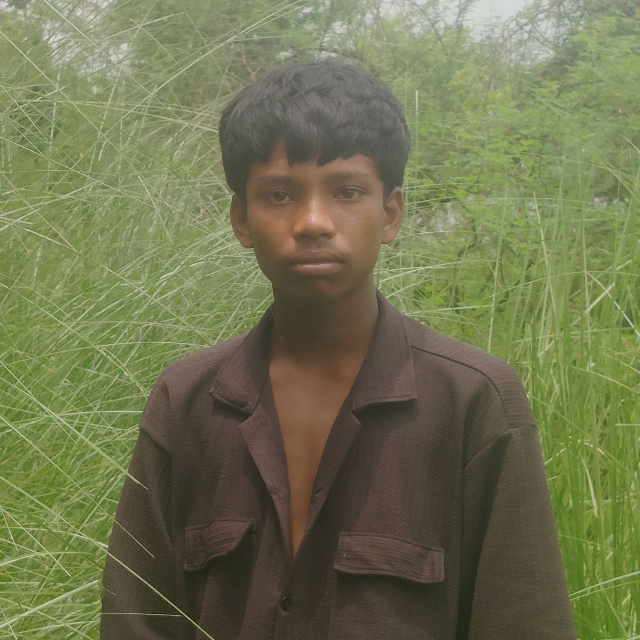 Biharicomedain on Bideo