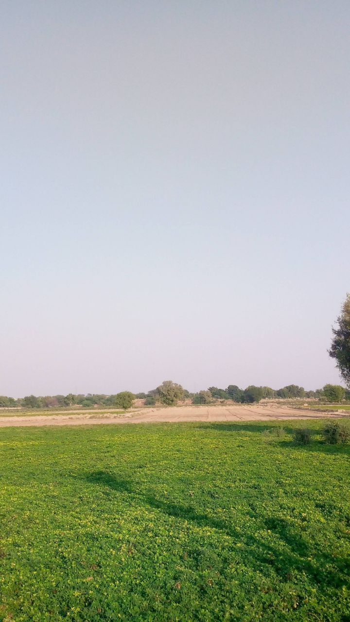 किसान की जिंदगी मेहनत, संघर्ष और हिम्मत की कहानी है। 🚜