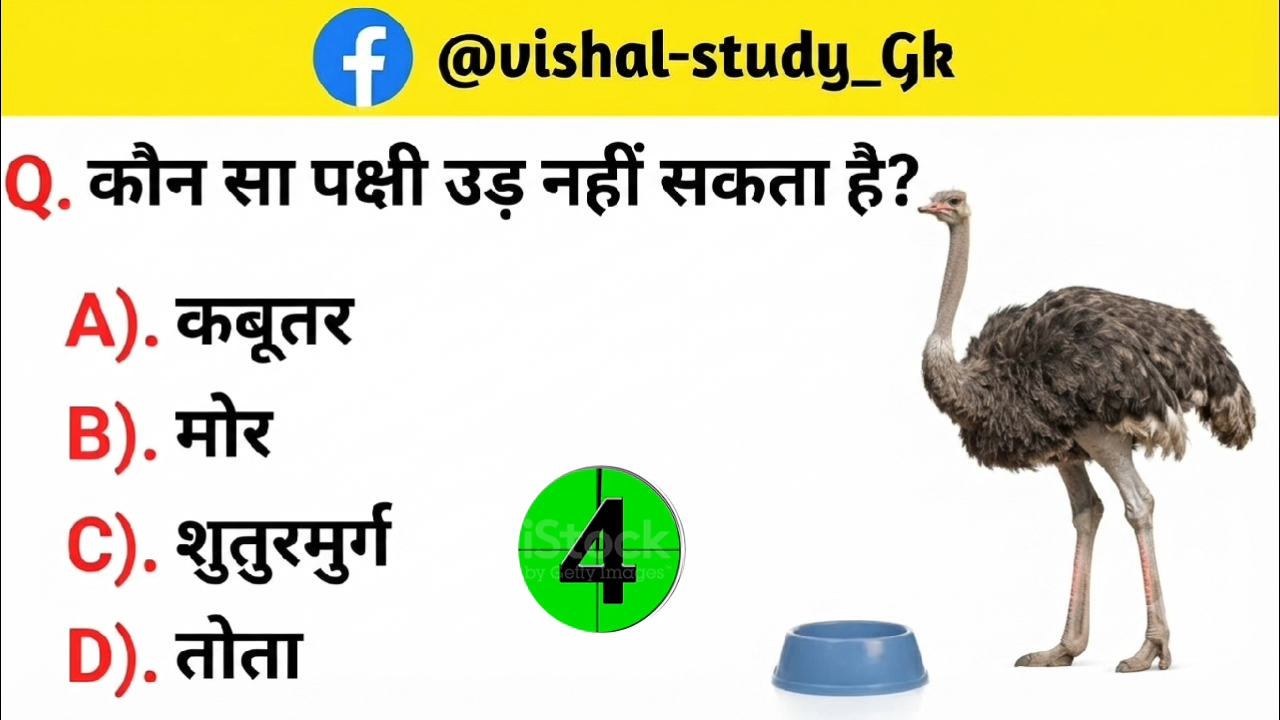 Best  #education #gk #video