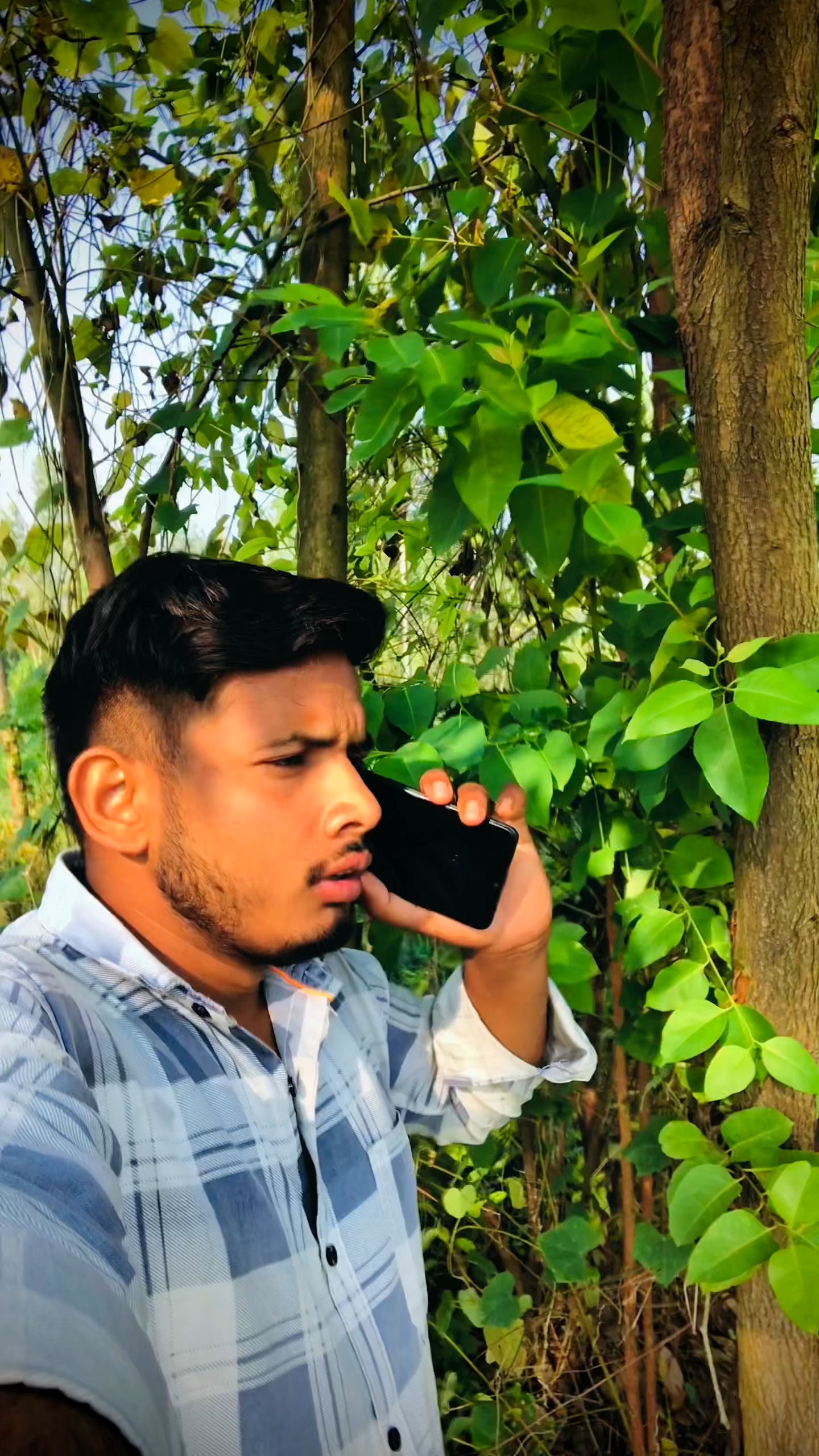 Nandi ji jay bhole ki