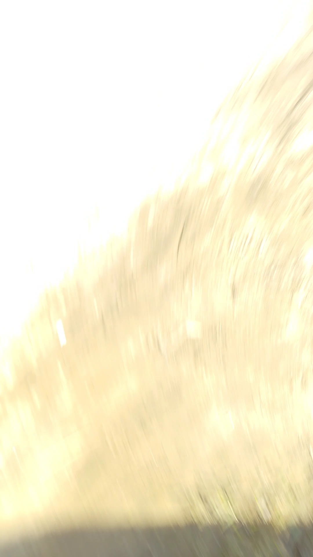 19 October 2026