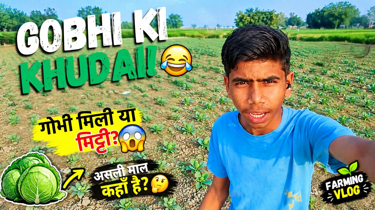 GOBHI KI KHUDai! 🥬🚜 | Cabbage Farming & Harvesting | Village Farming Vlog