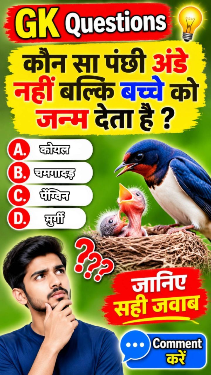Bird 🐦 knowledge । General knowledge questions ❓🤔। GK shorts। GK in Hindi। Follow for more videos