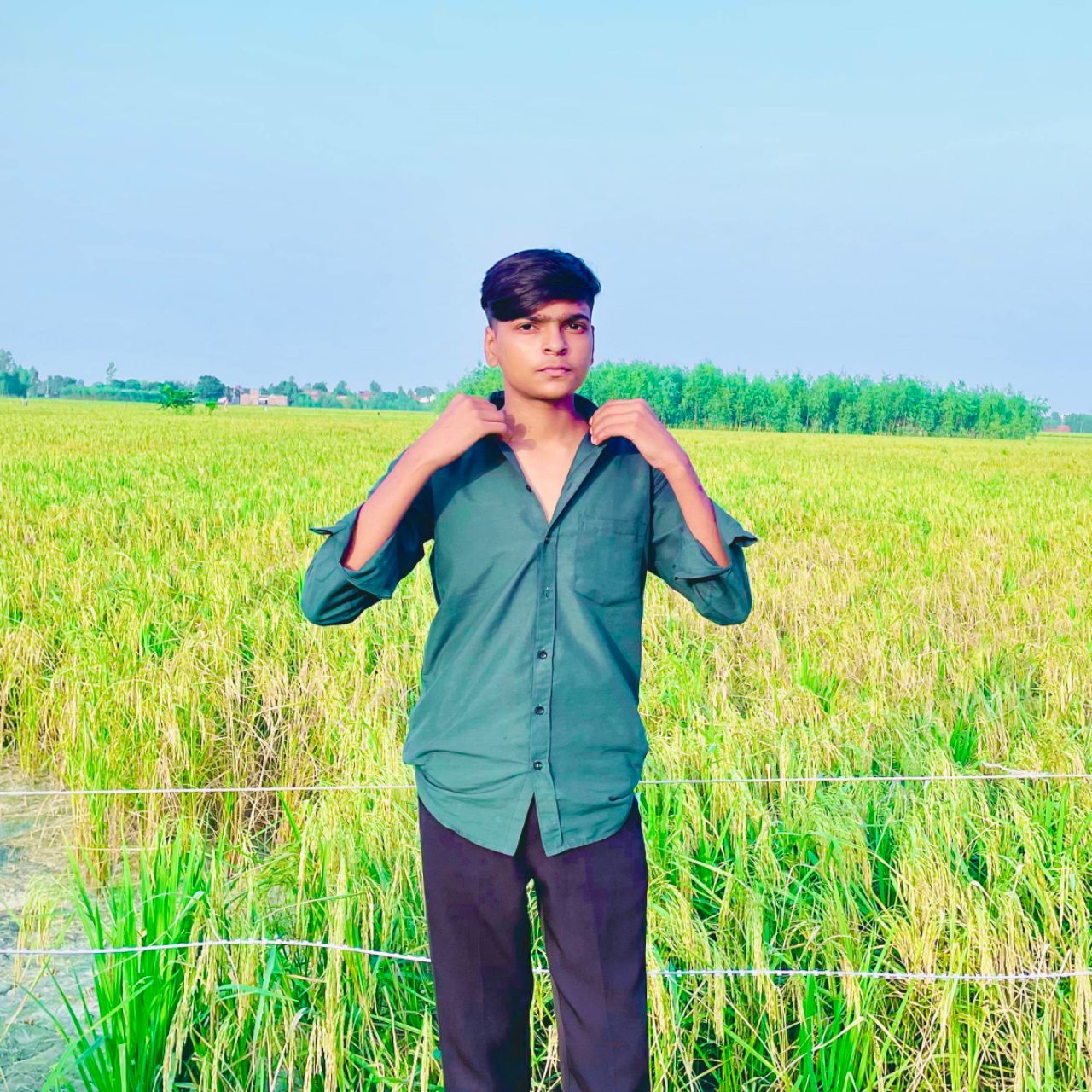 Shayar on Bideo
