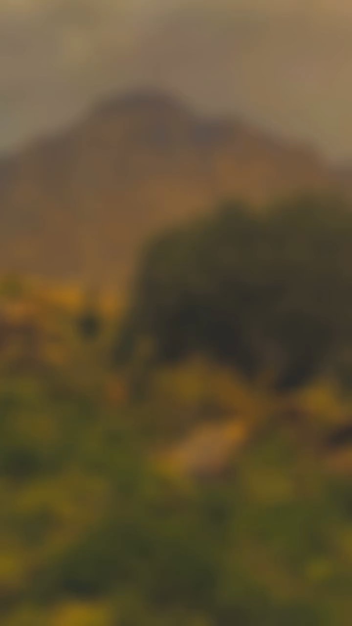 Shyri