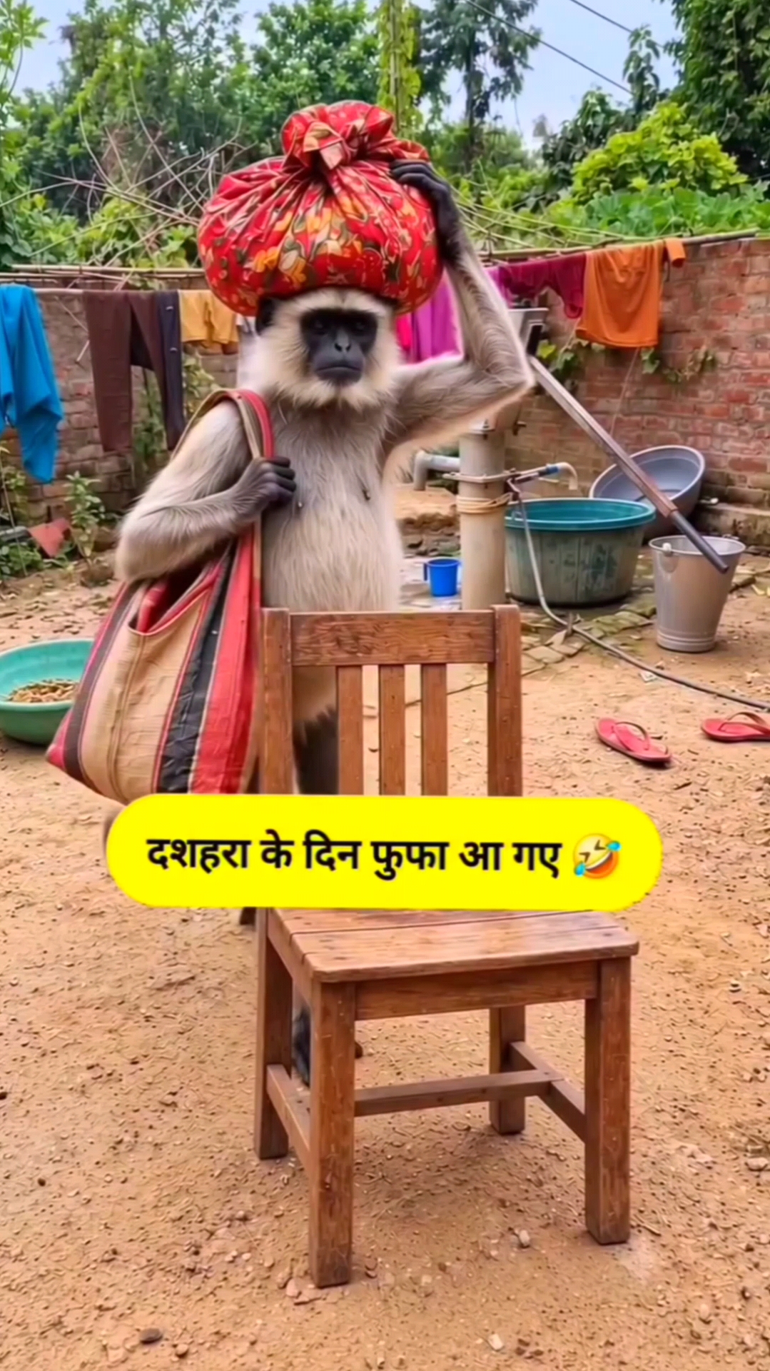 👺दशहरा के दिन 🐒😂फुफा आ गए🤣 #monkeyshortsmonkeyshorts  #shortsmonkeys   #monkeyshortsfunny