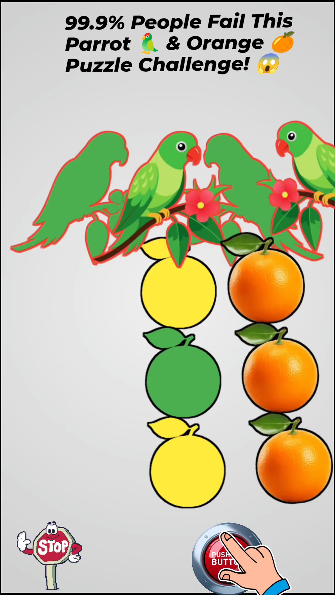 Parrot 🦜🦜 puzzle challenge #trending #shorts #viral #puzzle #puzzle challenge
