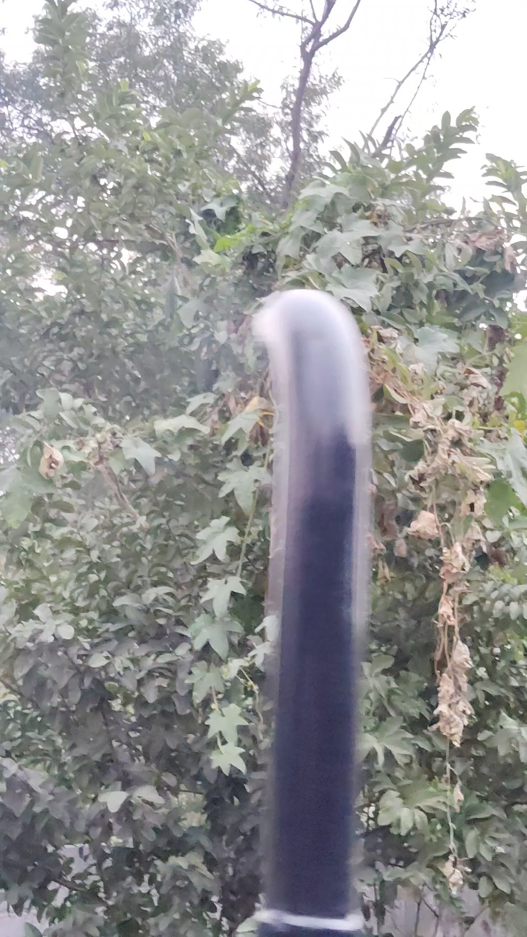 Echire tractors ki sher jesi awaz🤗🤞🎉 #viralpost #viralvideo #tractor