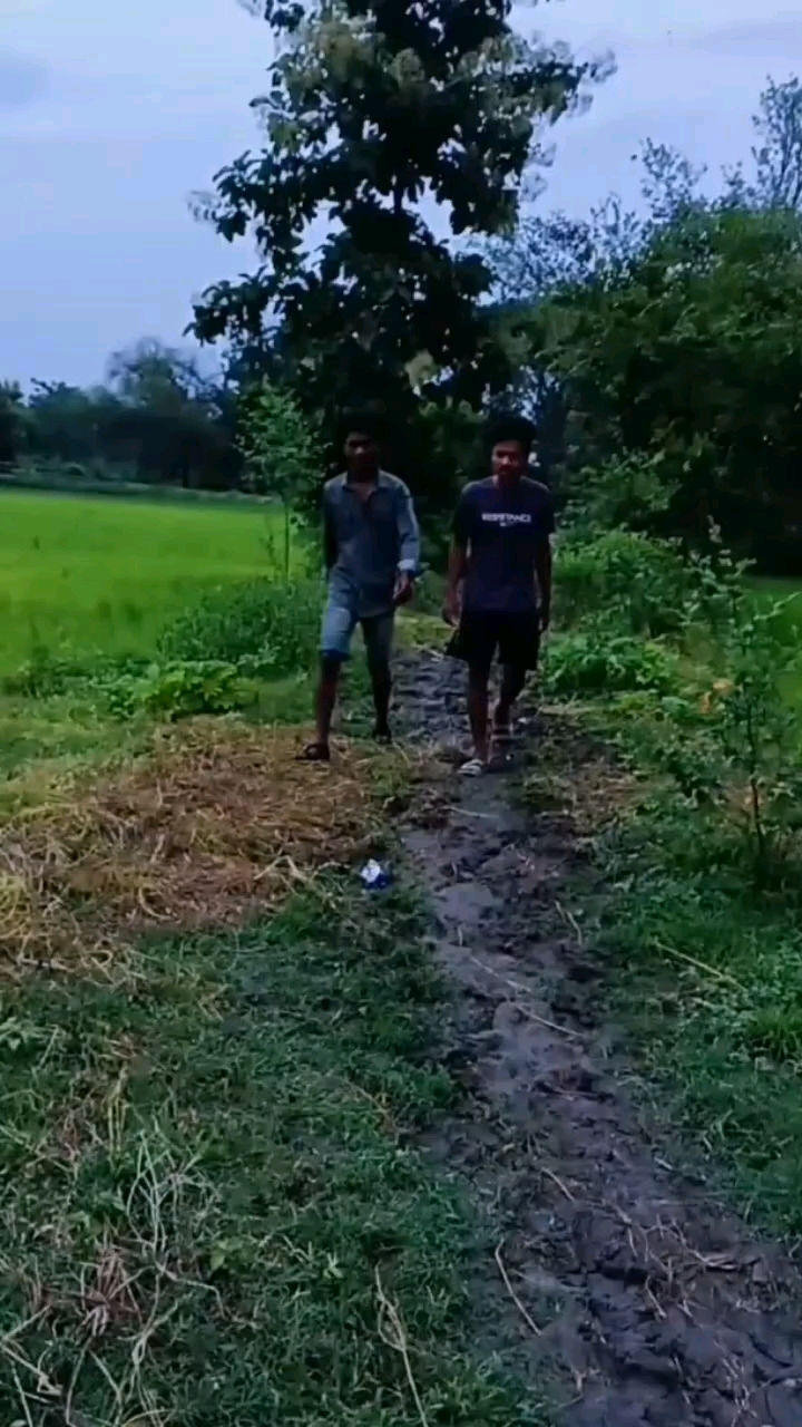 Funny video