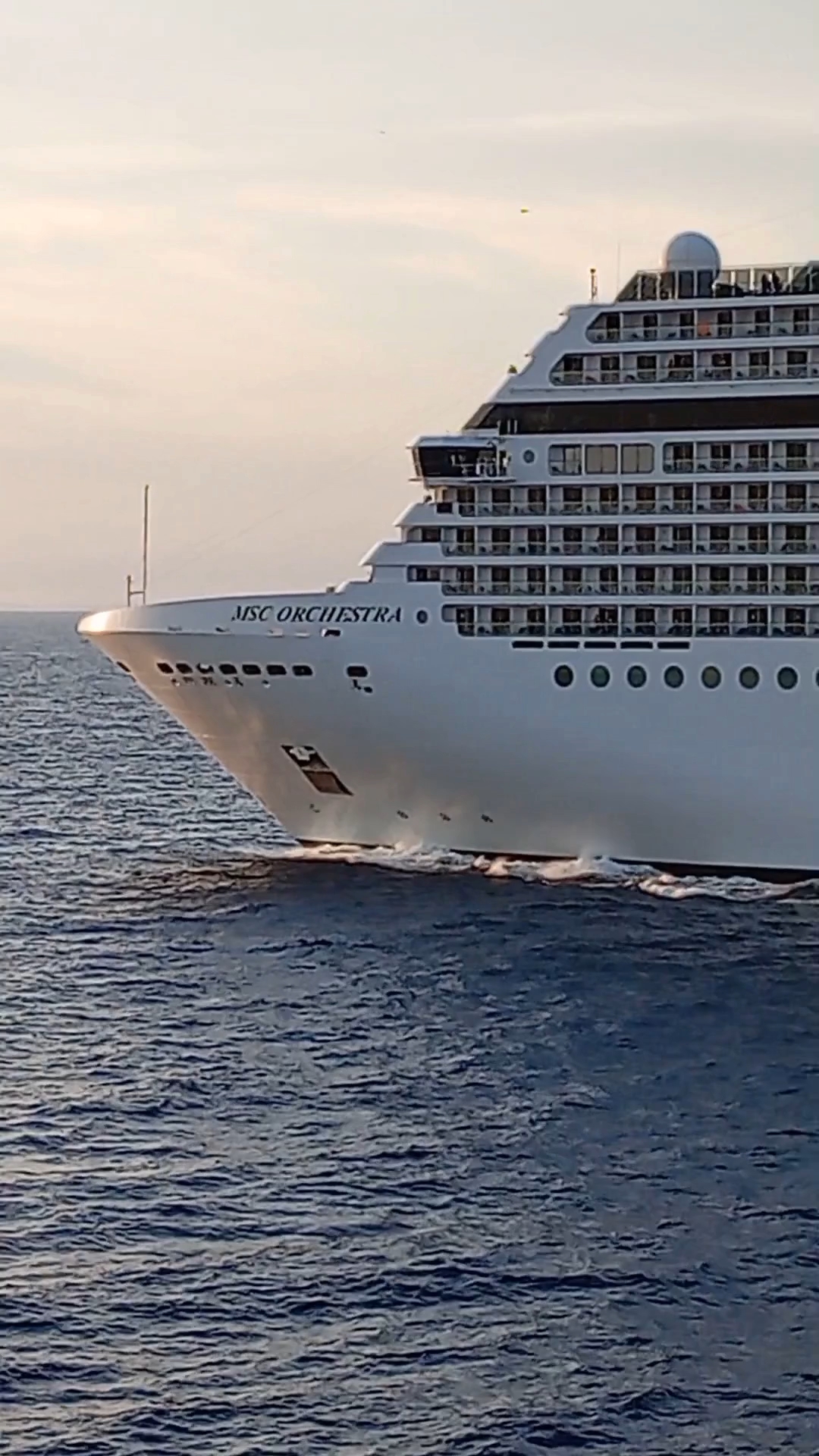 MSC Cruise Ship l Italian Bihari l Shorts