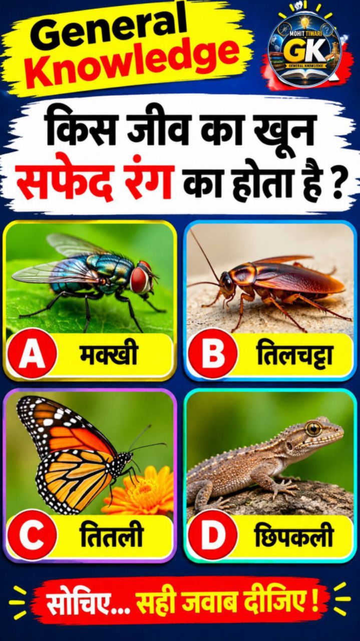 किस जीव का खून सफेद होता है।। General Knowledge questions । सामान्य ज्ञान । Follow for more videos।