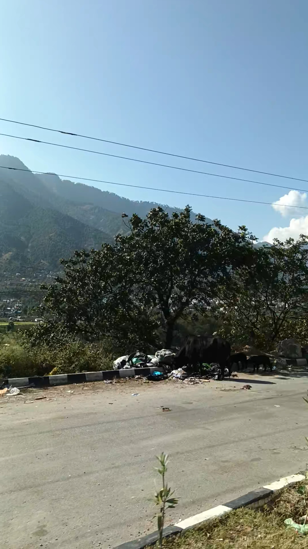 Kullu view