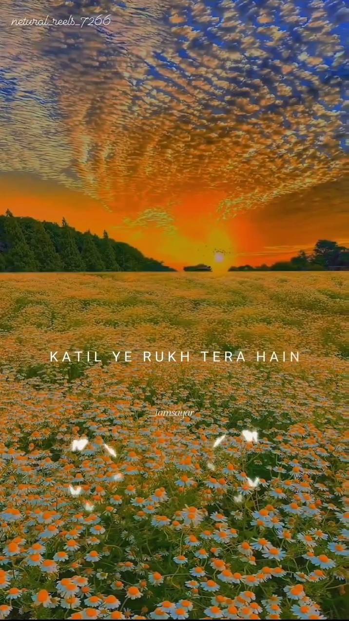 Beautiful nature