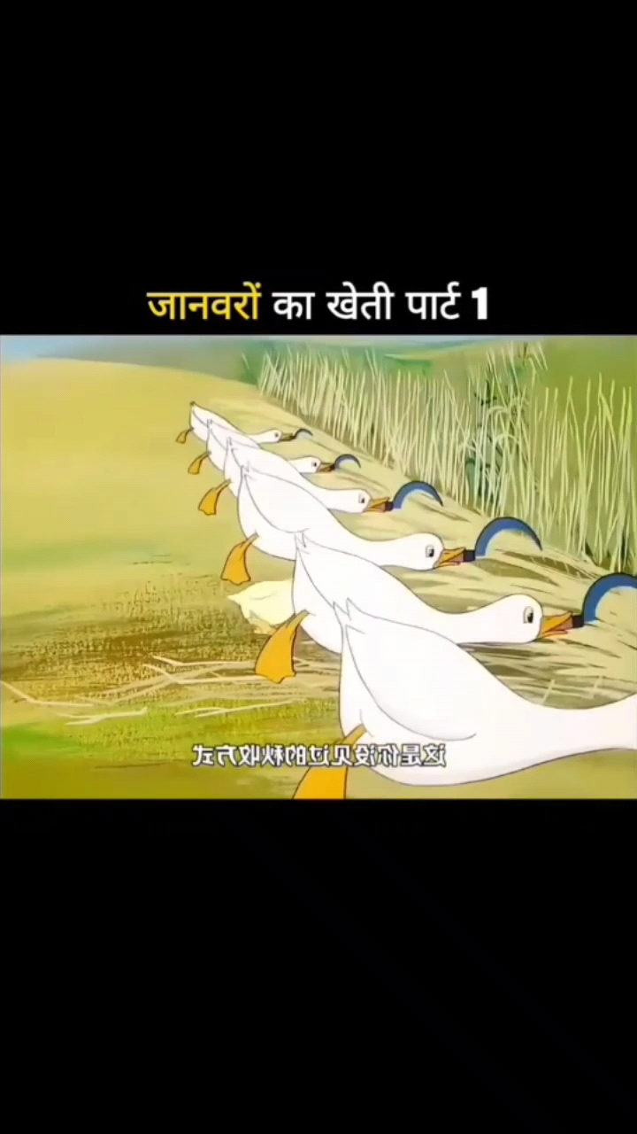 Pagal hogya video dhaka😂😂😂😂😂