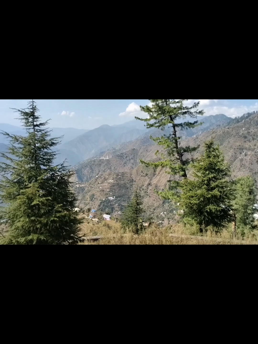 Best Nature Video View
