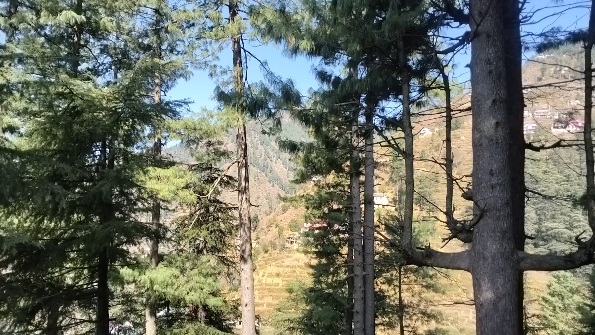 Nature part 1 Amazing video