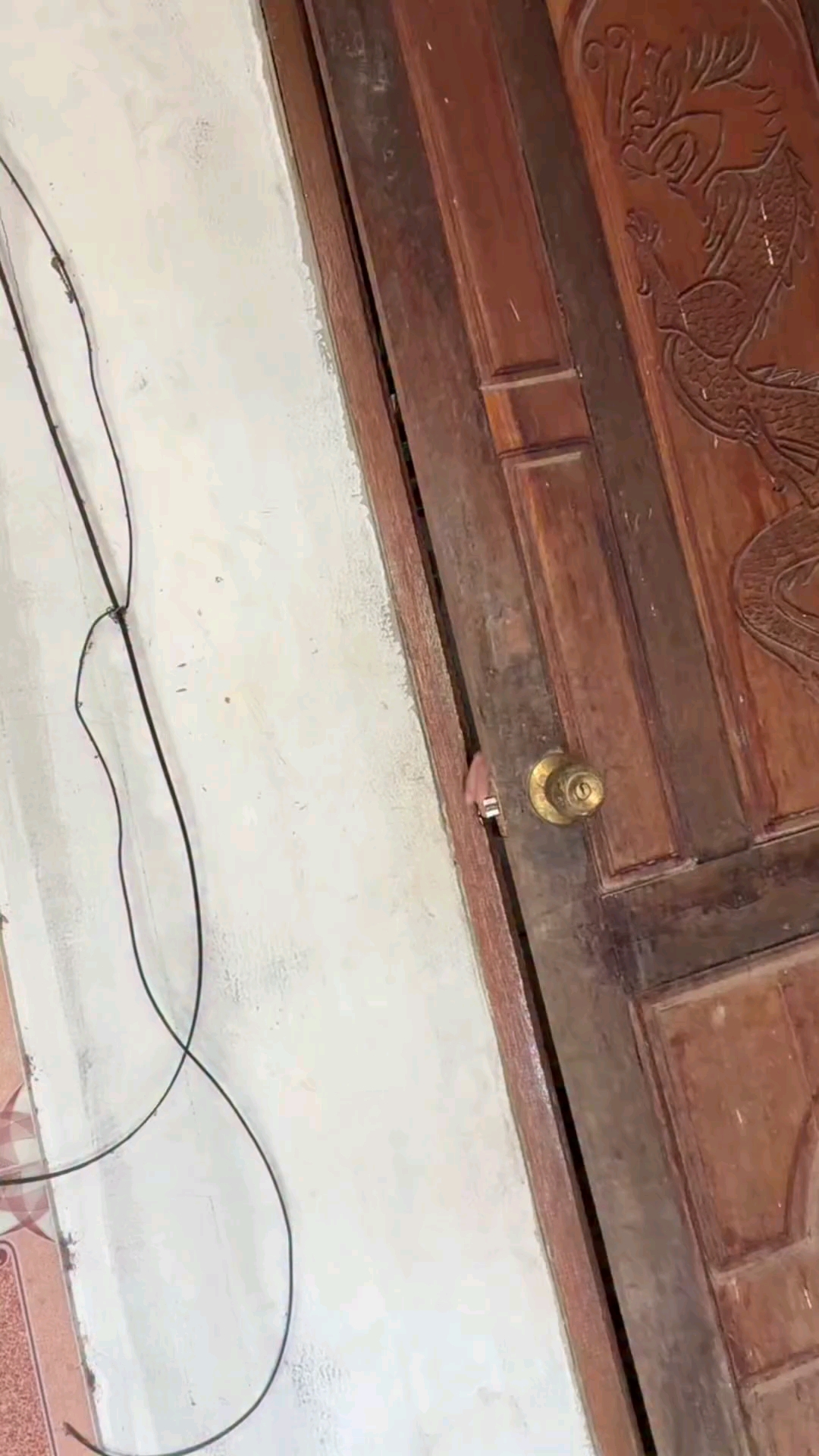 Scary Ghost Gets Terrified of a Tiny Spider 😂👻 #Shorts
