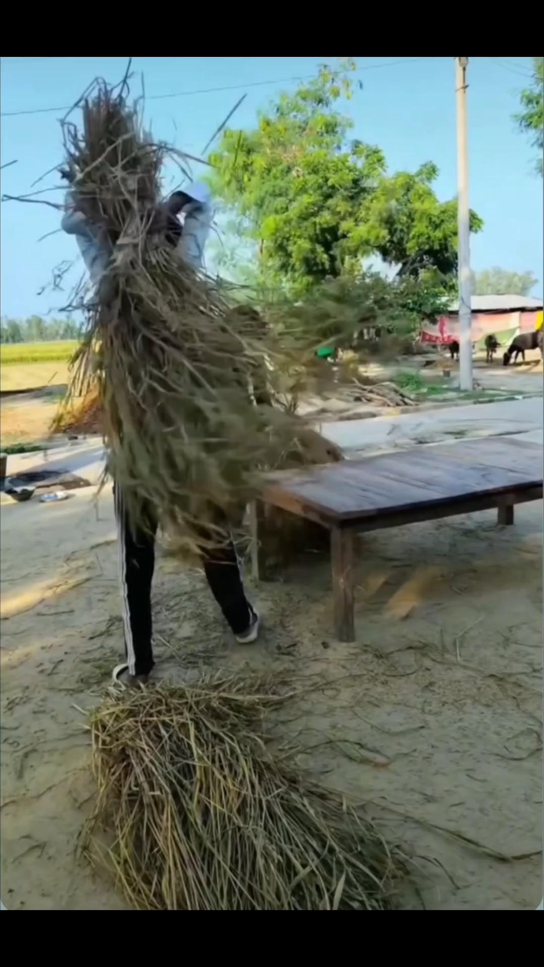 Viral vomedy 😄😄😄